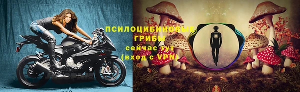 jwh Аркадак
