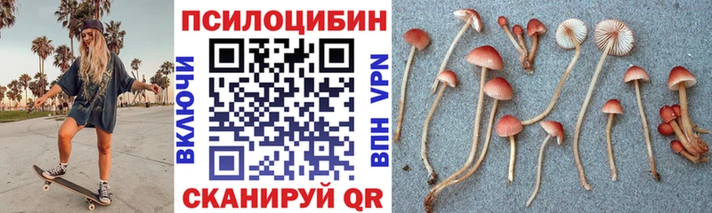 Галлюциногенные грибы ЛСД  ОМГ ОМГ как зайти  площадка клад  Озёры 